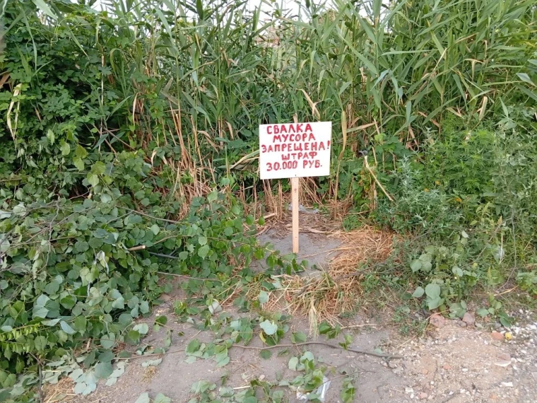 В Бердянске продолжается борьба со стихийными свалками .